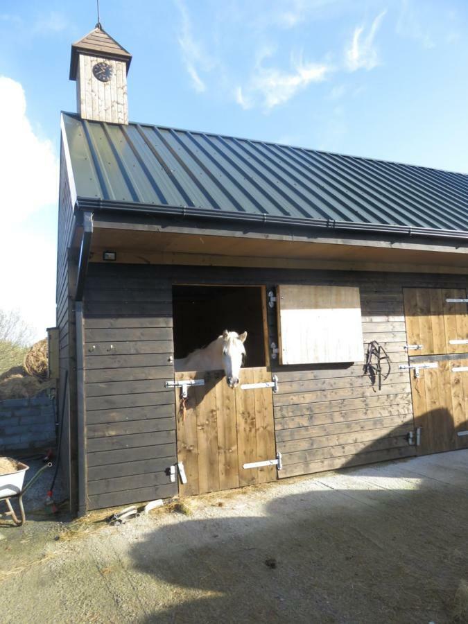 Bunkhouse - Letterfrack Farm别墅 外观 照片